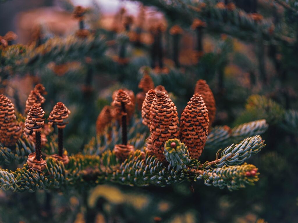 副業無料セミナーの落とし穴とは何か？