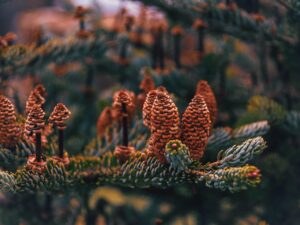 副業無料セミナーの落とし穴とは何か？