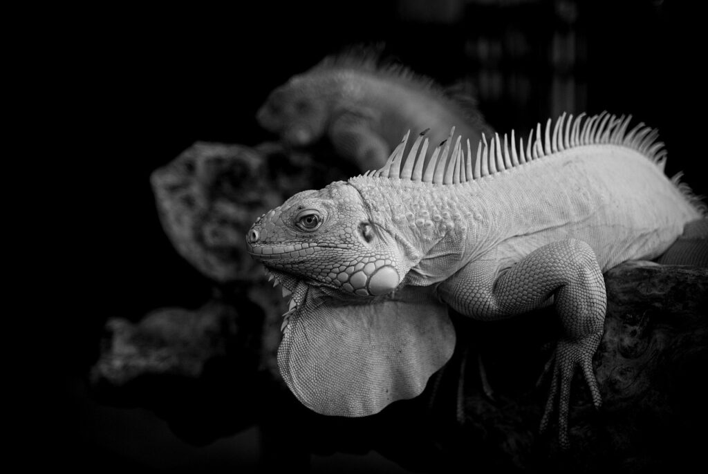 副業詐欺に遭った時のSNS相談窓口はどこにある？