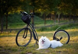 副業のカモにされないために知っておくべき注意点は？