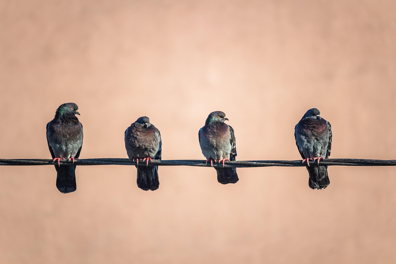 クラウドソーシングで怪しい依頼を見抜くためのポイントは？