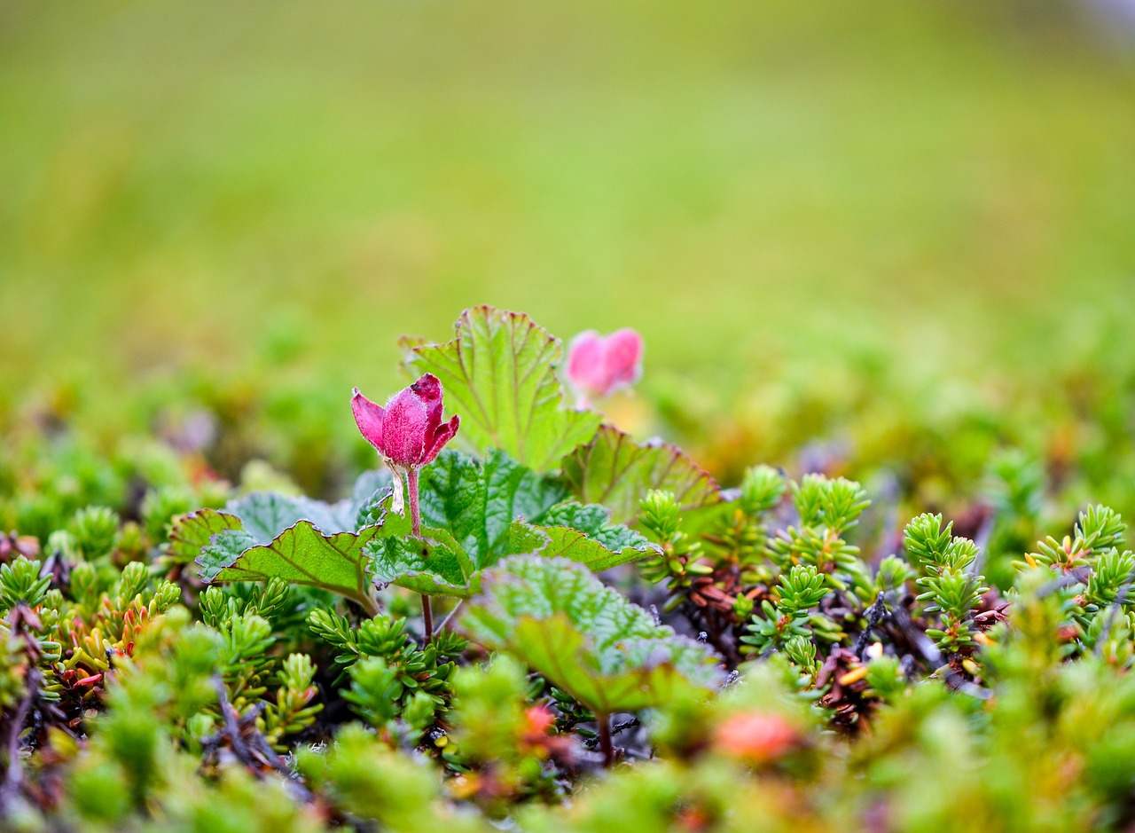 クラウドワークスで詐欺に遭わないための注意点は？