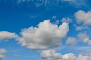 在宅ワークの確定申告は白色と青色どっちが得？