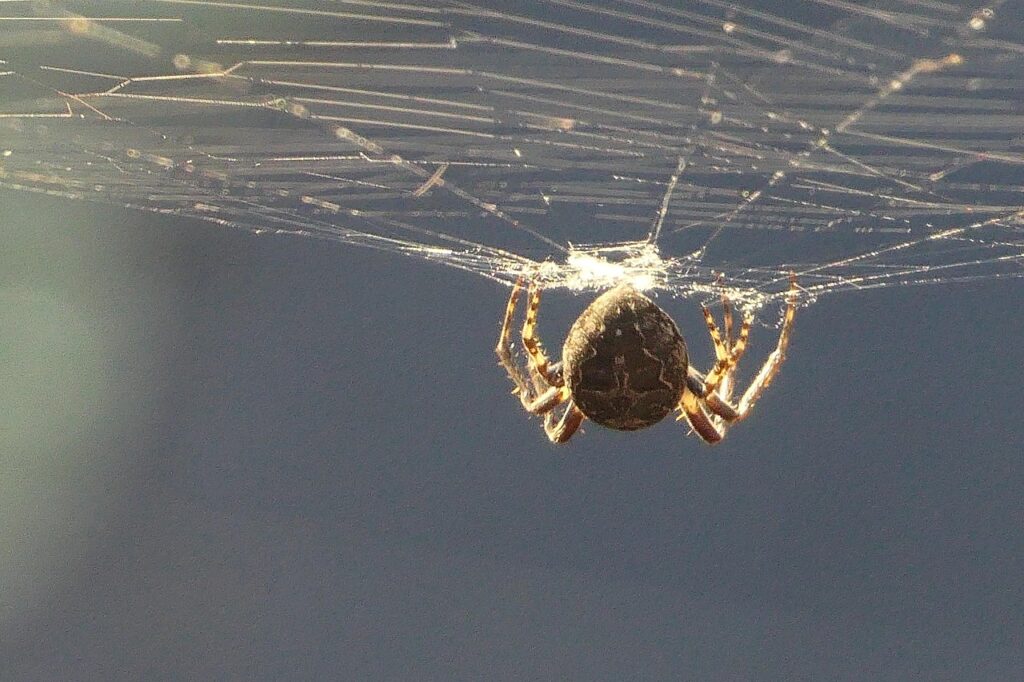 Webライターが継続的に案件を獲得するためのおすすめ比較は？