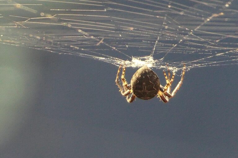 Webライターが継続的に案件を獲得するためのおすすめ比較は？